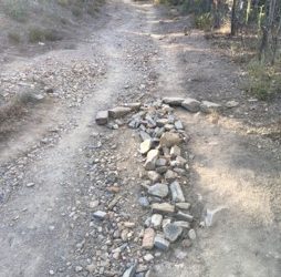 Blog personnel de Stéphane Béguier, coach de décideurs