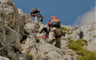 LA CO-RESPONSABILITÉ