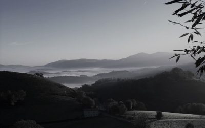 CONCEPT | COACHING DECIDEURS | SUR LE CHEMIN DE COMPOSTELLE