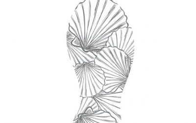 Kit Media | PREMIER LIVRE