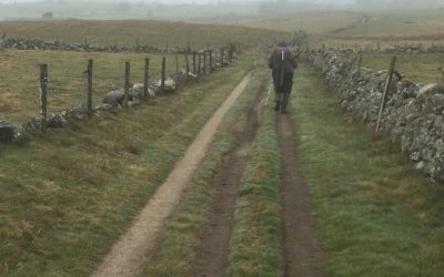 « Coaching pour décideurs sur le Chemin de Compostelle »